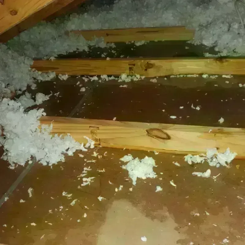 Attic Water Damage in Dwight, IL